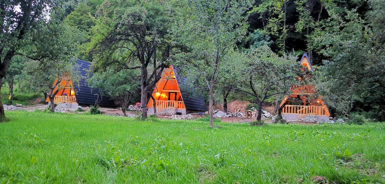 Casa - Cabana Tip A Frame, Cerna, Vaideeni, Valcea Cerna  Kültér fotó