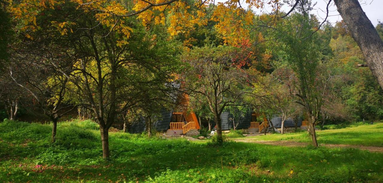 Casa - Cabana Tip A Frame, Cerna, Vaideeni, Valcea Cerna  Kültér fotó